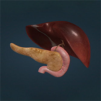 Gall Bladder and Bile Duct diseases